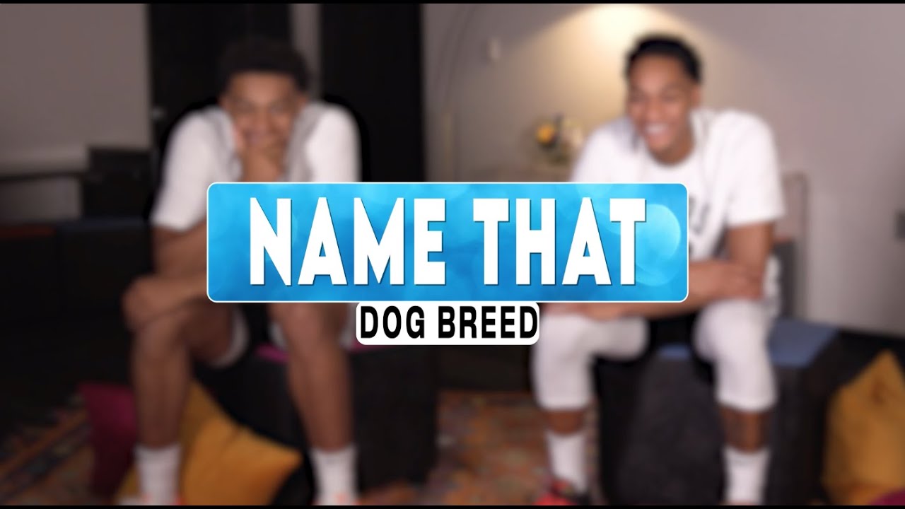 Name that Dog Breed with San Antonio Spurs Keldon Johnson and Devin Vassell