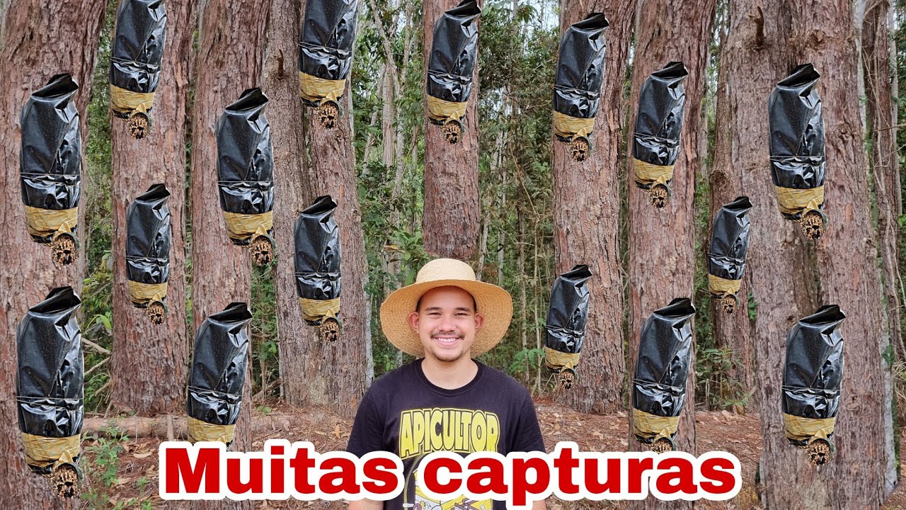 Fui na MATA ver minhas ISCA PET e TIVER UMA GRANDE SURPRESA (veja até o final)