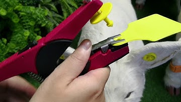 79mm*56mm cattle cow ear tag with tag plier/applicator