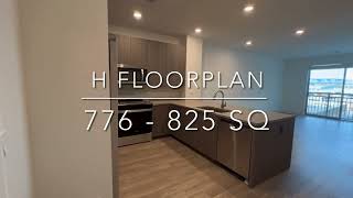 H floor plan: 1 bd / 1 ba