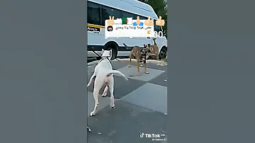 هوم بوندا وانا وحدي 