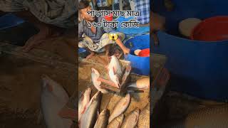 পাংগাস মাছ মাত্র ১৬০ টাকা কেজি #youtubeshorts #shorts #viralvideos #fish #fishing #hat #bazar #reels