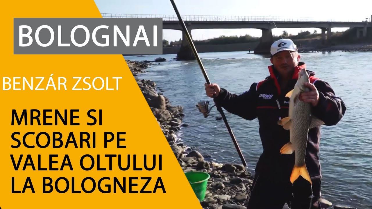 Mrene si scobari pe valea Oltului la bologneza