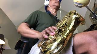 Lynyrd Skynyrd  Simple Man  Acoustic Cover sax U0026 Guitar