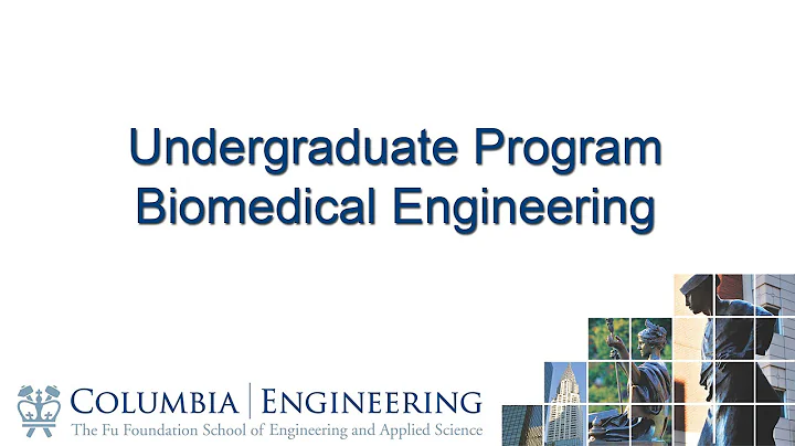 Undergraduate Program in Biomedical Engineering