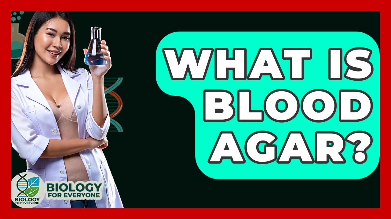 What Is Blood Agar? - Biology For Everyone