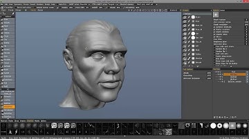 3D Coat Performance Comparison: Voxel/Surface Mode Sculpting