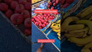 Kam na výlet a kdy se konají farmářské trhy? To vše najdete ve svém apartmánu #spanelsko #spanielsko