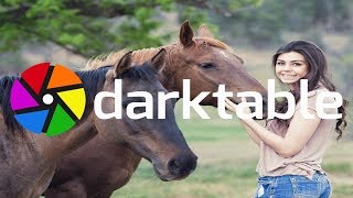 HOW to USE SPLIT TONING in darktable Profile