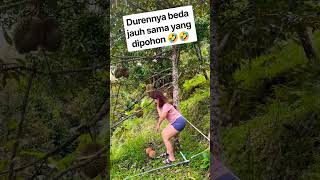 Which durian is bigger, the one on the tree or the one on the ground? 😅😅 #lol #viral #funny #humo...