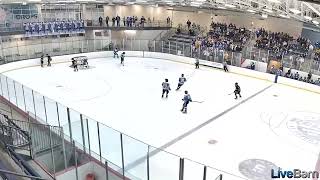 Livebarn 802085 30000 St Peters Rec Plex South South Rink A 2023 01 06T195954