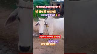 @गाय का रहस्य🐄 #cow #farming #viral #funny #shortvideo #motivation #animals #viralvideos #viralstory