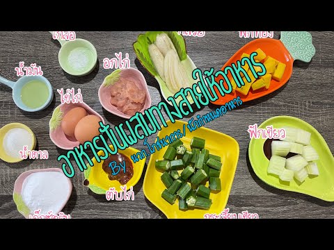 วิธีการทำอาหารปั่นผสมที่ให้ทางสายให้อาหารแบบละเอียด สามารถทำเองได้ที่บ้าน (Blenderized diet)