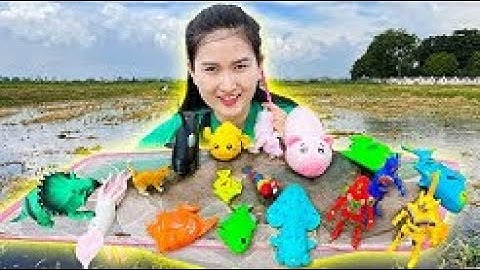 Changcady thu hoạch rác ngoài biển, tìm được rất nhiều con vật: con tôm, con cá, con cua, hải sâm