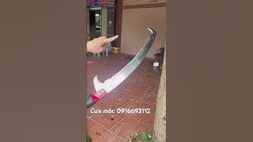 Cưa móc chuyên cưa cành trên cao