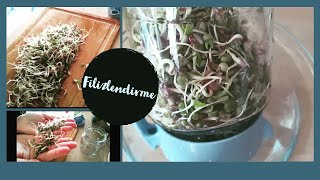 Çimlendirme İpuçları (5 Tl Ile Sonsuz Filiz) Resimi