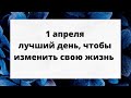 1 апреля - лучший день, чтобы изменить свою жизнь.