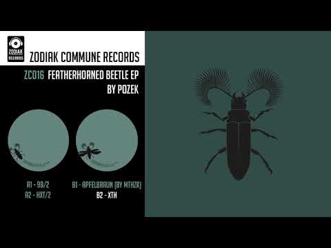 Pozek — ZC016 - Pozek - XTH - Featherhorned Beetle EP - Zodiak Commune Records