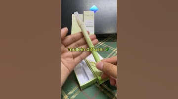 Mullein Diffuser for Lung Detox #mullein #quitvaping