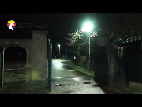Bloemendaal: van wit naar geel naar oranje naar groen