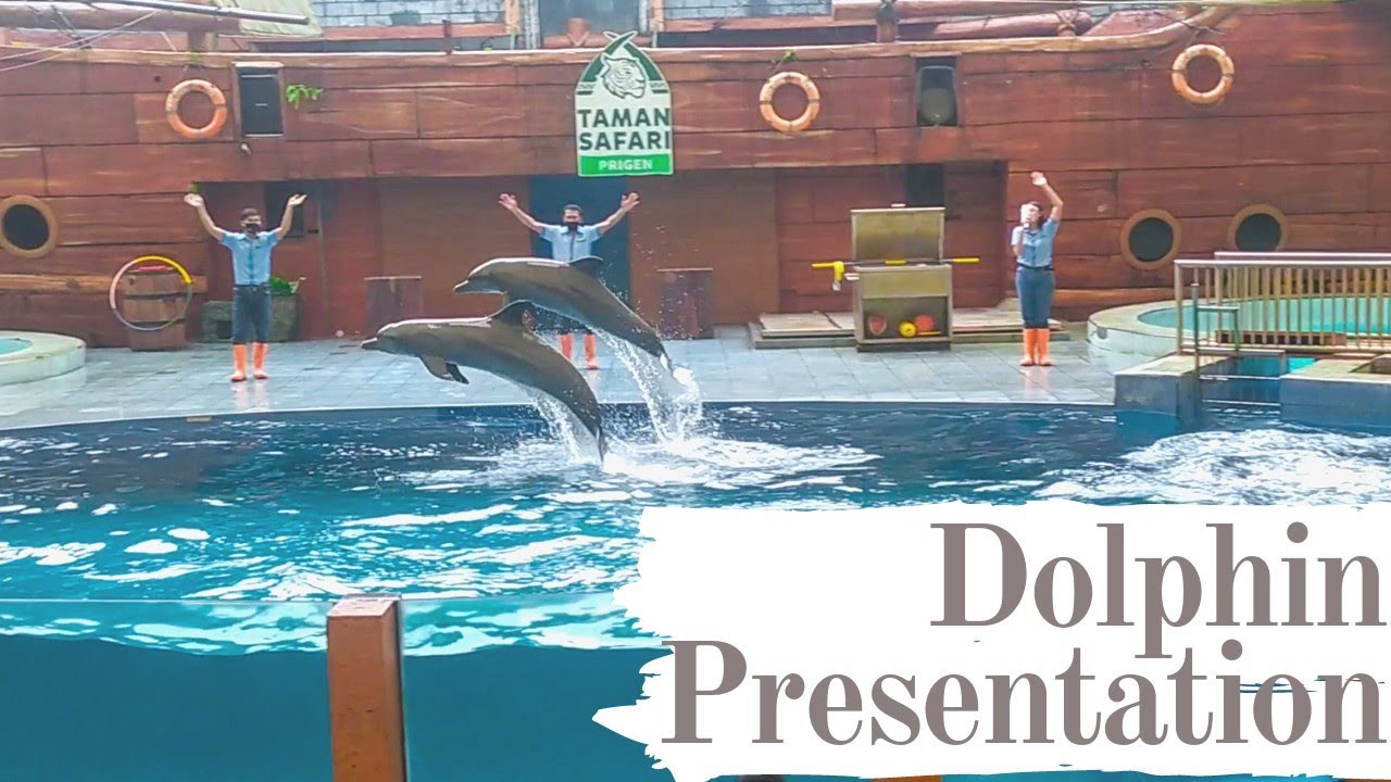 TAMAN SAFARI PRIGEN | PERTUNJUKAN DOLPHIN