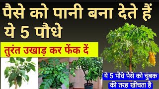 Vastu Shastra ये है धन का नाश करने वाले 5 पेड़ पौधे इन्हें तुरंत उखाड़ फेंक दें |Vastu tips