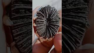 BULU MERAK ANTIK N WINGIT WA 082335537710 #art #stone #spiritual #shorts #fyp #world #artist #antik
