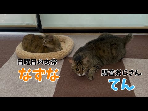 【日曜日なじゅDay】お久しぶりの騒音おじさん登場の巻