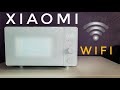 Микроволновая печь Xiaomi Mijia Microwave Oven 20L (MWVLXE1ACM) Обзор и тест.