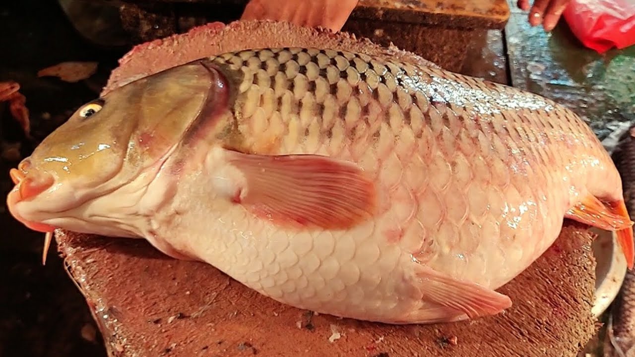 Amazing Big Betta Carp Fish Cutting In Fish Market | Fish Cutting In Bangladesh
