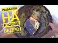 Караси - МОНСТРЫ на ВЕДРО!!!