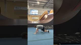 Reverse Bear Crawl
