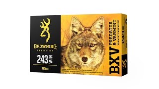 Browning Ammunition Shot Show 2017   BXV Predator Varmint