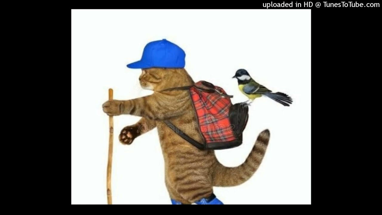 [free] xaviersobased + ksuuvi type beat