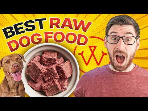 Best Raw Dog Food