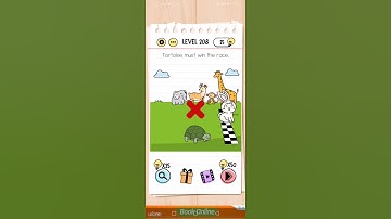 Brain test Level 208 tortoise must win the race  Walkthrough