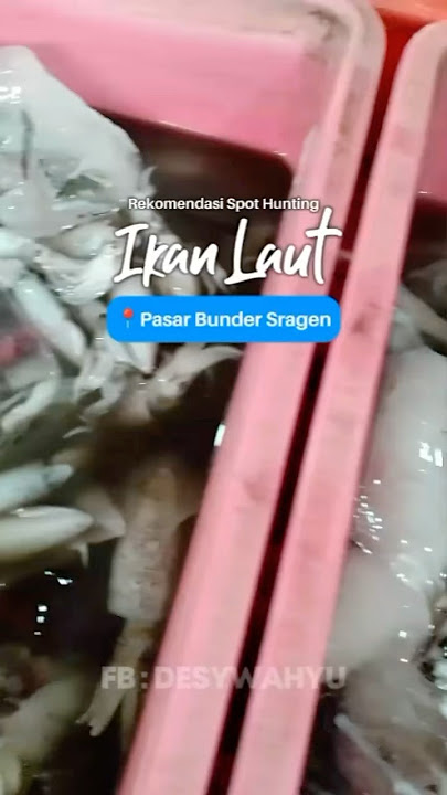 Hunting ikan segar di pasar Bunder Sragen. #ikansegar #kulinersragen #sragen #jawatengah