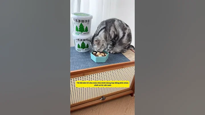 Đông Khô Giúp Đẩy Lông Nhẹ Nhàng! #notapetvn #cátvệsinhmèo #pets #funnycats #cat #pet #cute