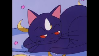Sailor Moon Sus Moment 2 luna Calls Artemis A Pervert