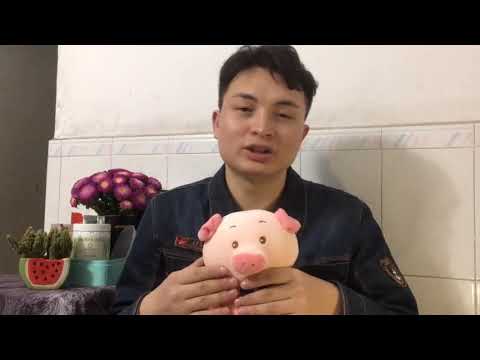 又到了一年一度的春运,票你抢到了吗小伙教你如何用软件抢票
