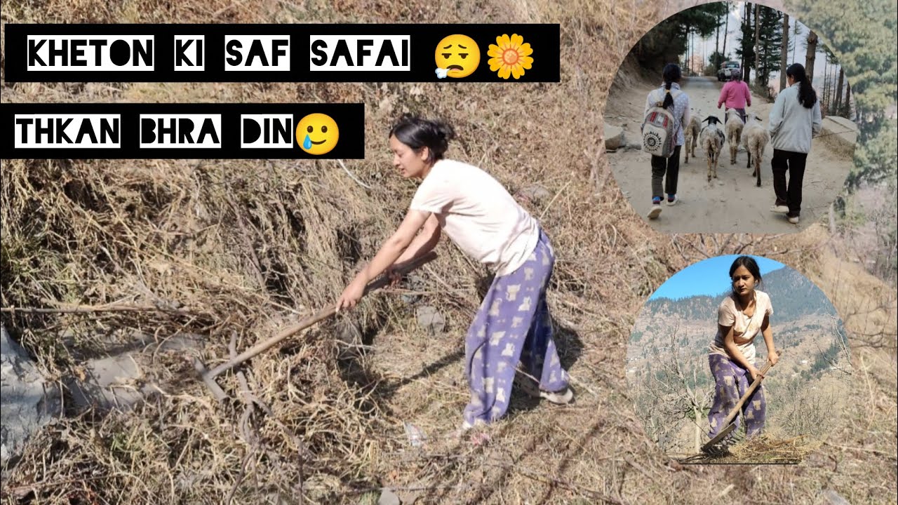 Kheton mein sfai 🌼