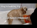 How to Use A Shammy/ Chamois to Dry Dogs