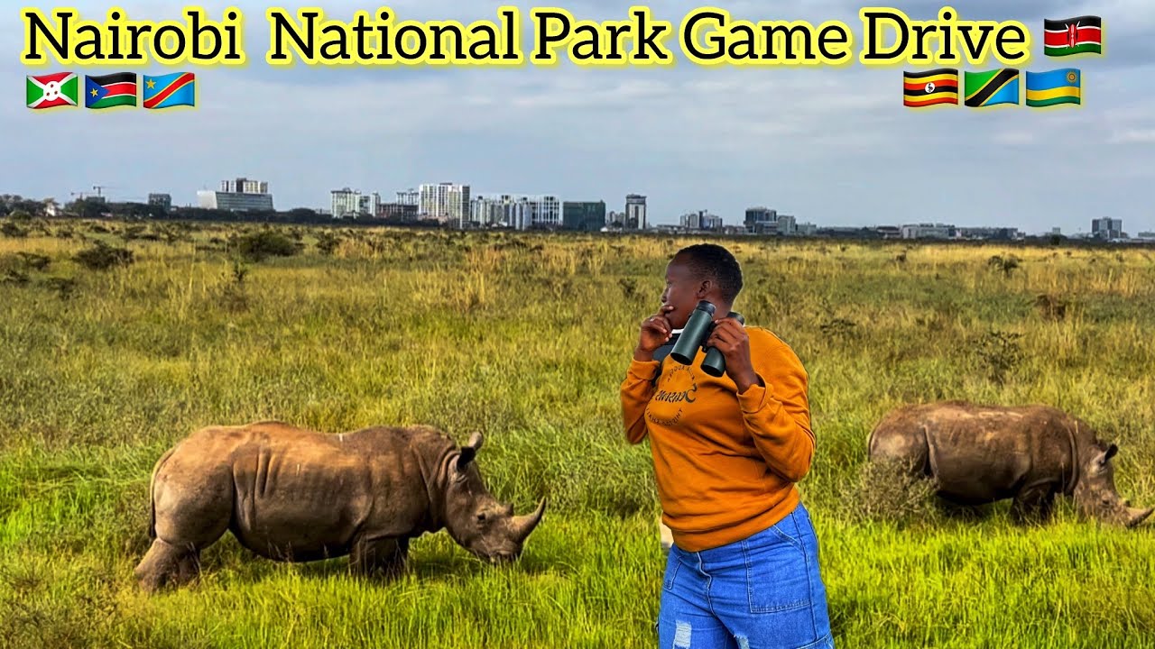 Nairobi National park: Is Nairobi 🇰🇪 the only city with a Game Park In Africa? 