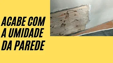 O que é bom contra mofo nas paredes?