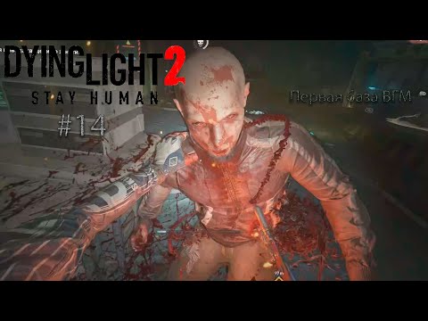 Видео: Dying Light 2: Stay Human #14. База ВГМ