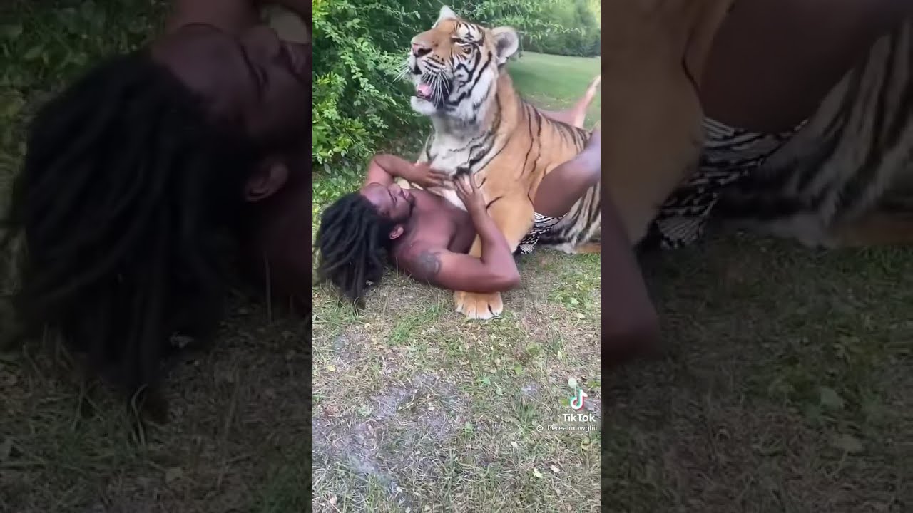 The Black Tarzan