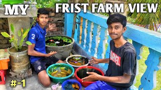 My frist farm view | molly fish farm |gappy fish farm #molly #gappy #fishfarm#hindi @sdaqua2381