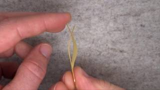 Oliver Schmidt - Leave Earrings In 18Ct Yellow D - Orro Contemporary Jewellery Glasgow