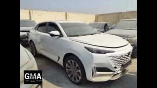 LS4ASE2A0RA993137 2024 Chan UniK