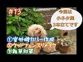 【DIY】室外機カバー作成してみました。ウッドフェンスリメイクと雑草対策で固まる土施工DIYしてみました
